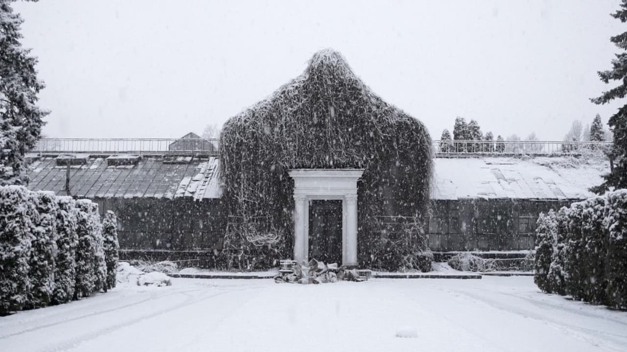 The Winter Garden’s Tale