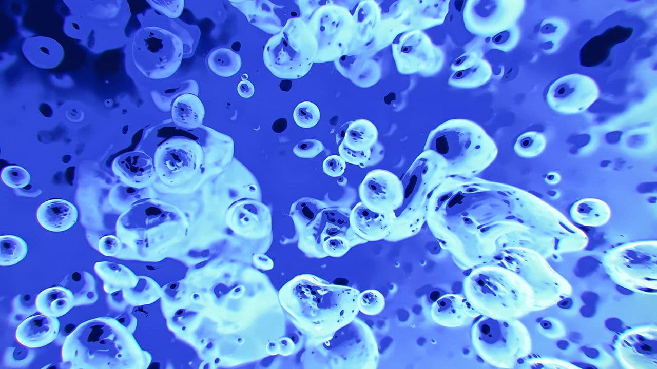 The Best Of Liquid Television