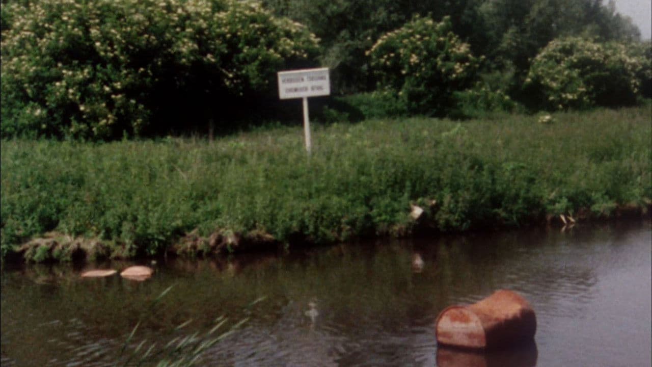 Life With A Rubbish Heap