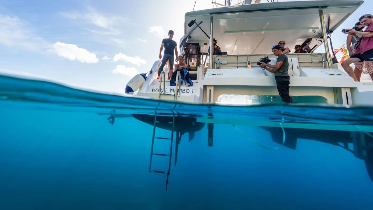 En immersion avec Alice Belaïdi