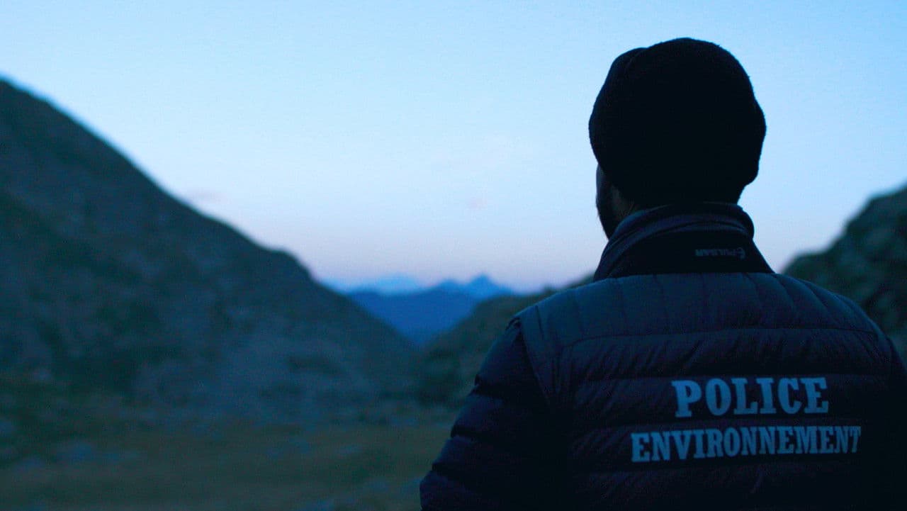 The Shepherd and the Bear