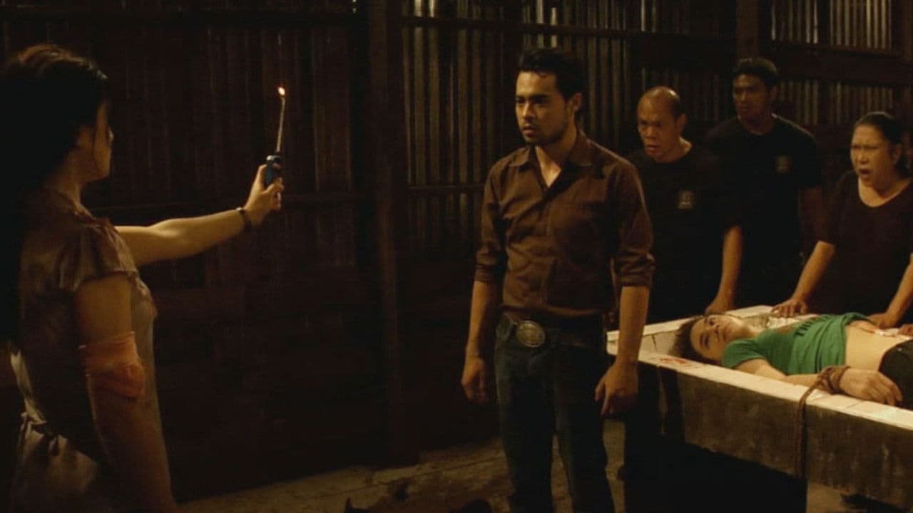 Shake, Rattle & Roll 12