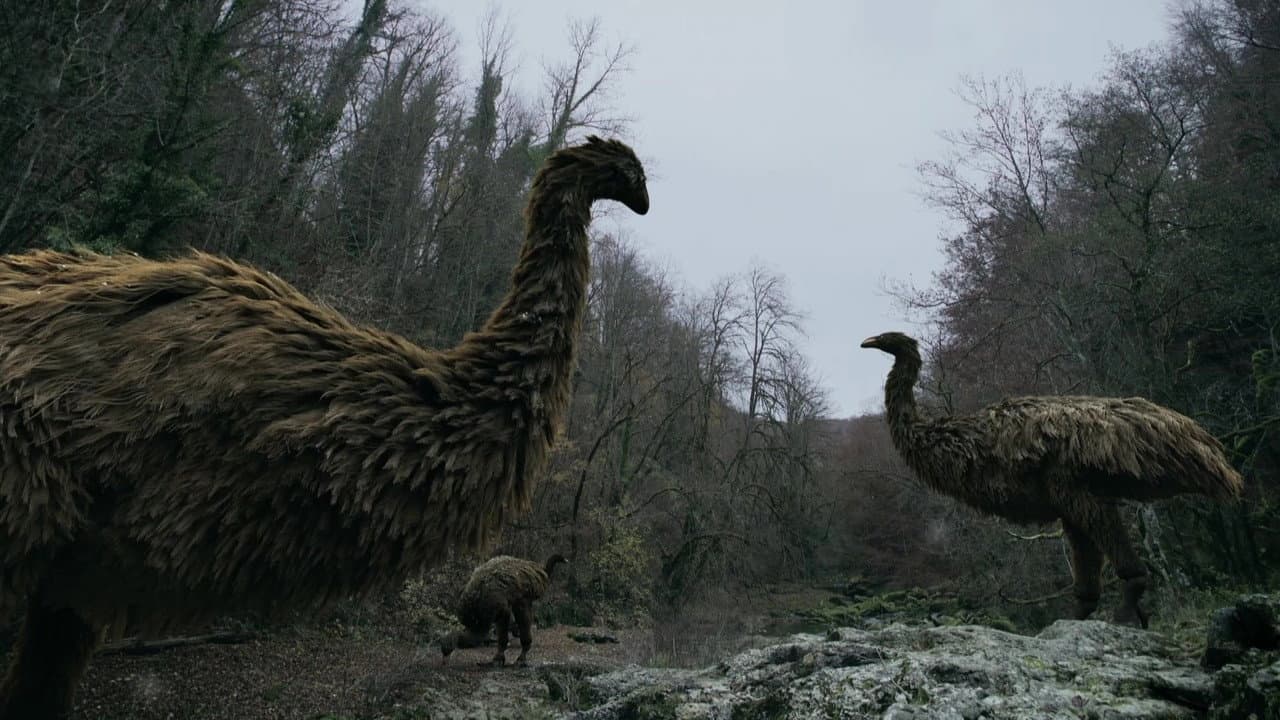 Mystery of the Giant Birds