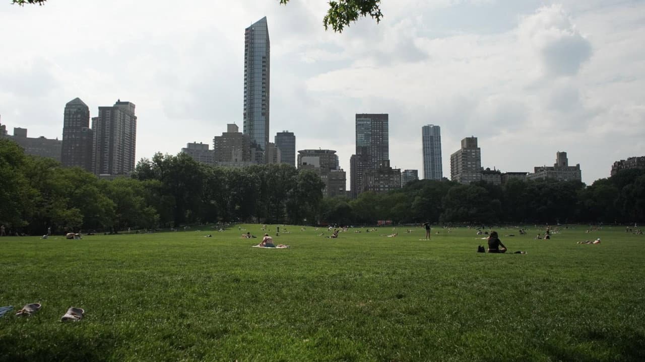 The Voices of New York