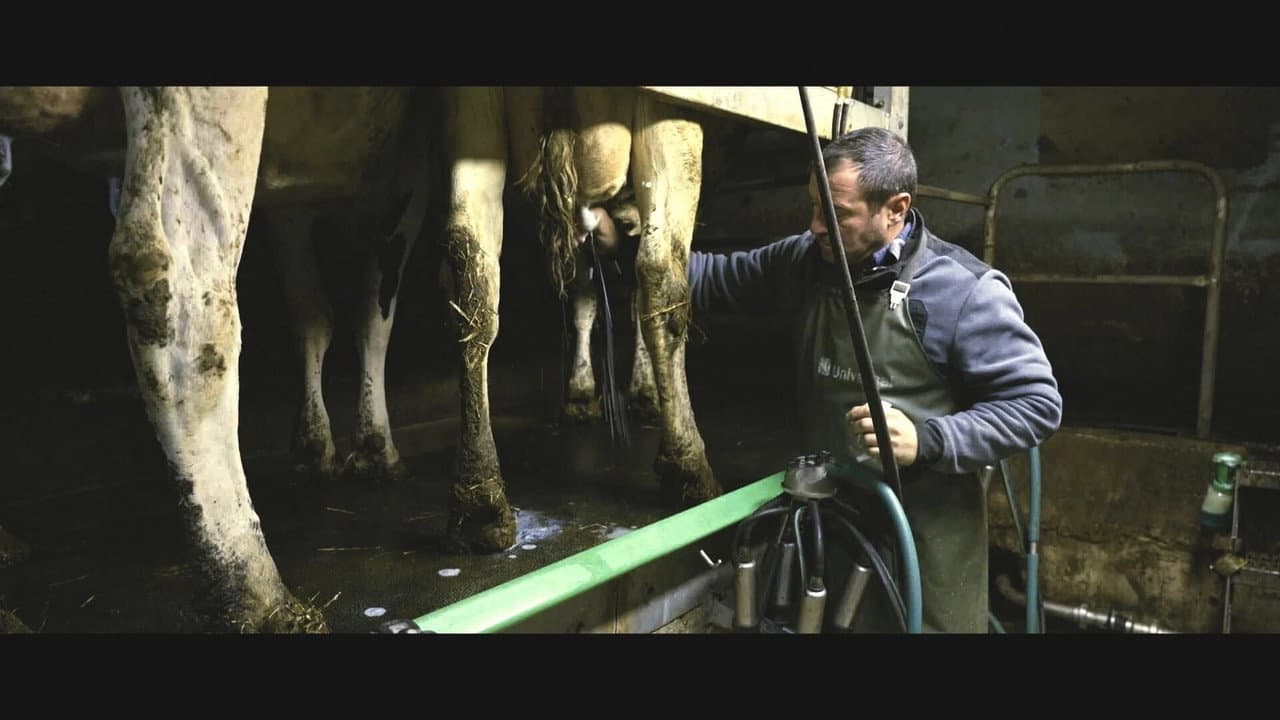 Violence dans les Champs