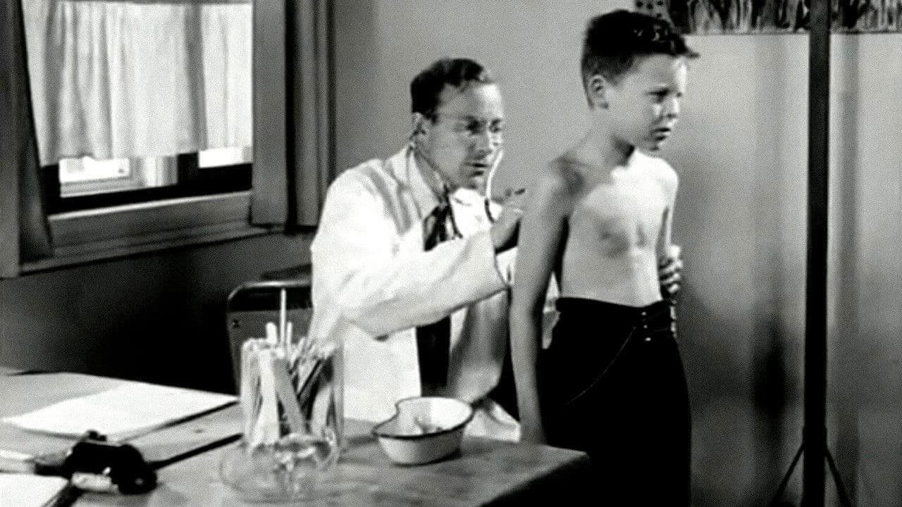 Oslofilm: Summer Paradise