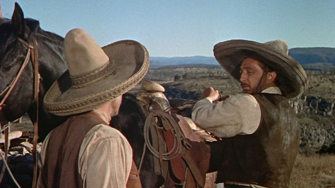 The Wonderful Country