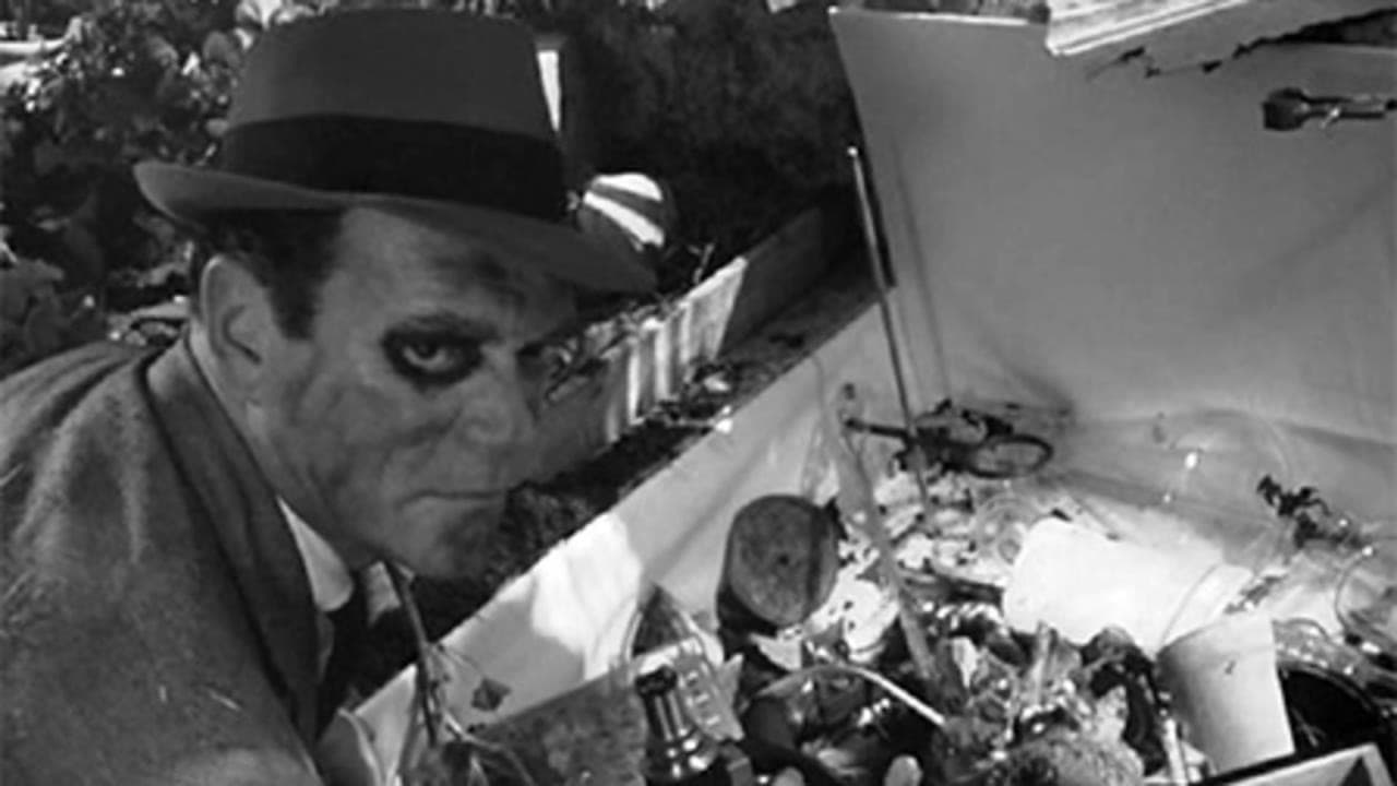 Make Your Bets Ladies