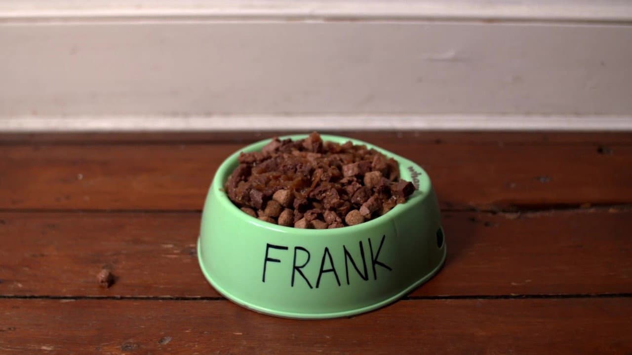 L.T.'s Theory of Pets