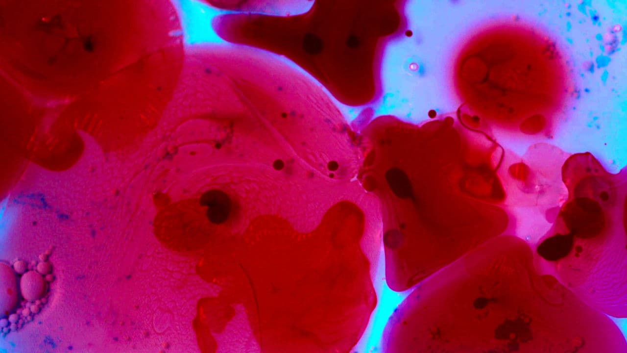 Meu Céu E O Seu Inferno