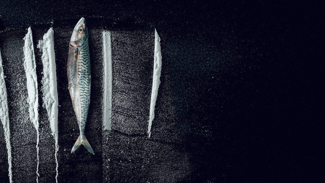 Turn of the Tide: The Surreal Story of Rabo de Peixe