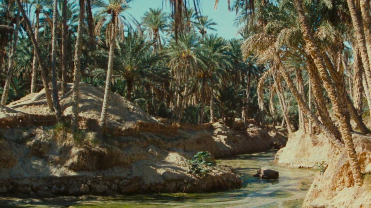 Zaa, the Little White Camel