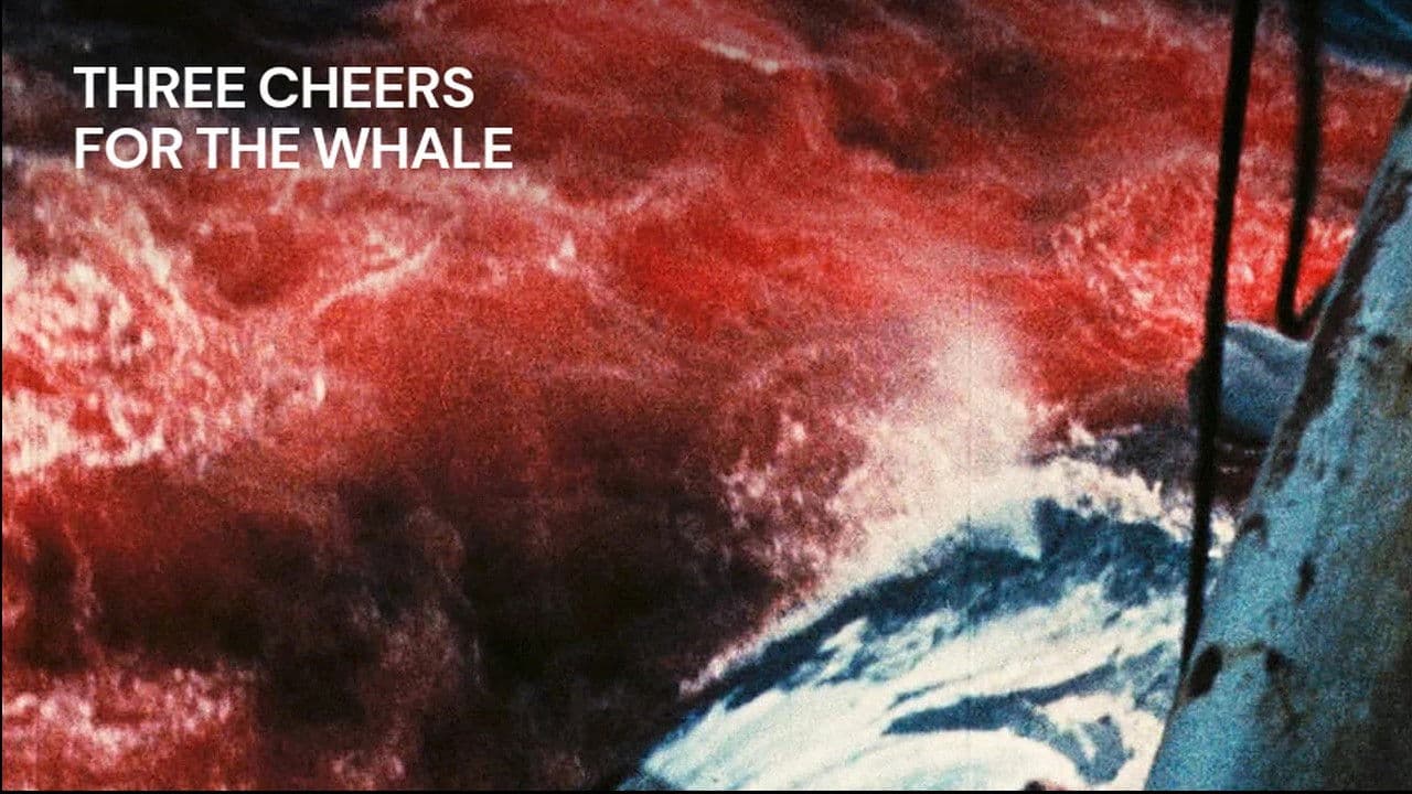 Three Cheers for the Whale