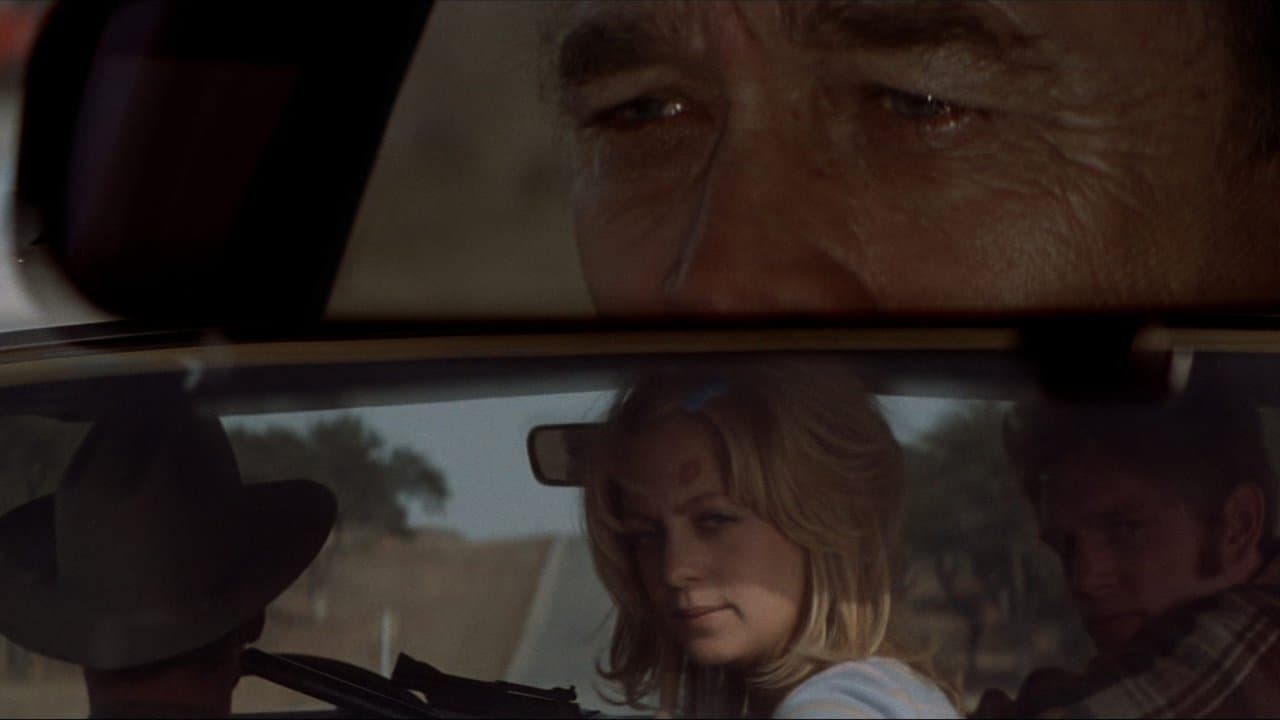 The Sugarland Express