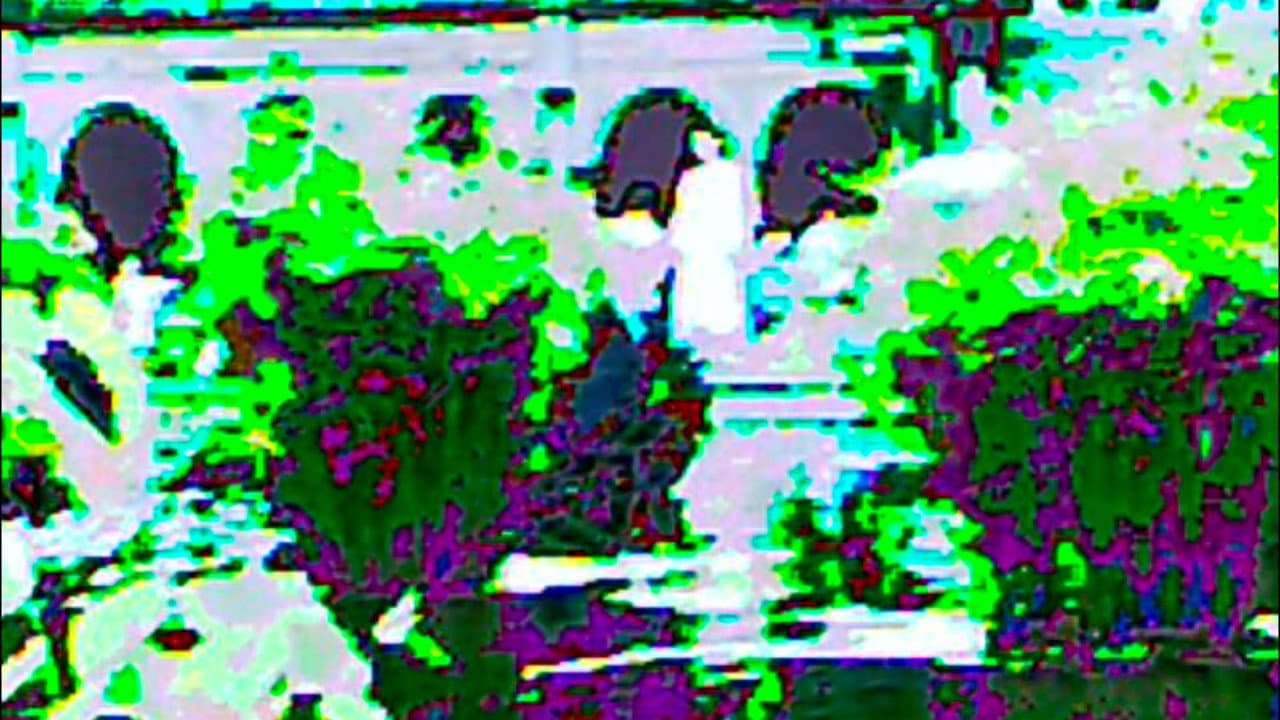 In The World You Will Have Tribulation, But Take Heart; I Have Overcome The World (Short)