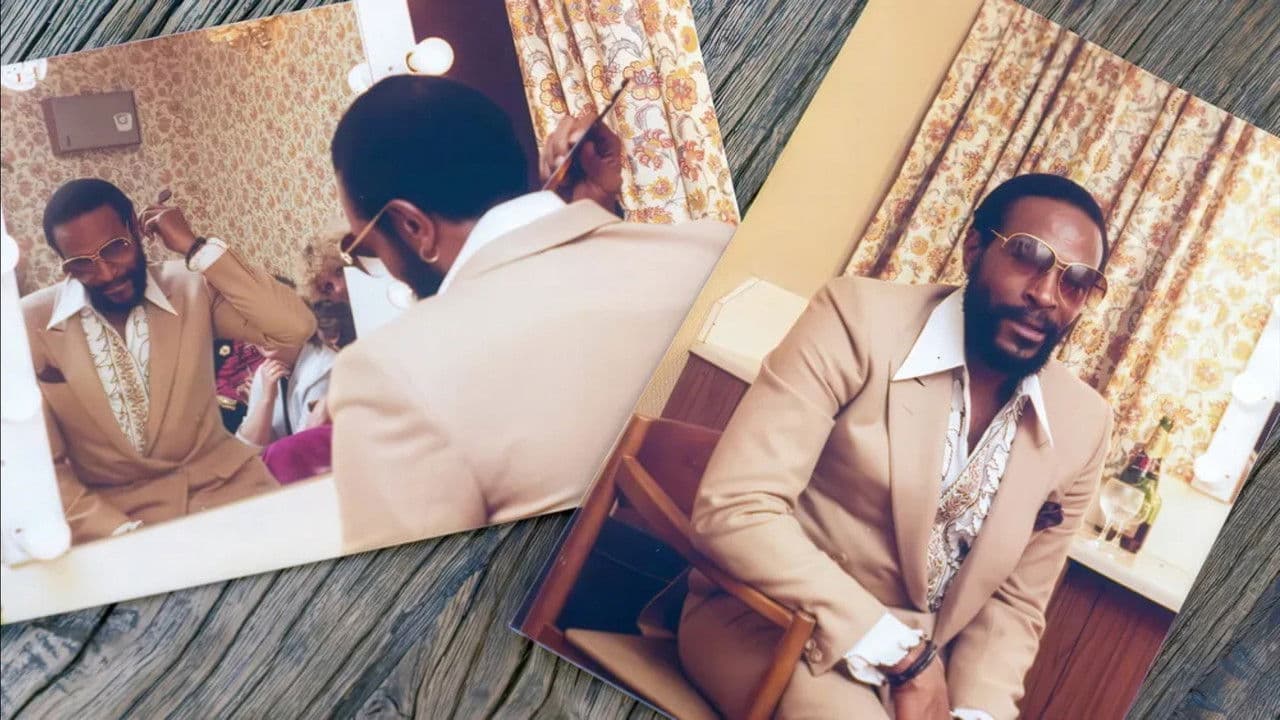 Marvin Gaye - Visionär des Soul