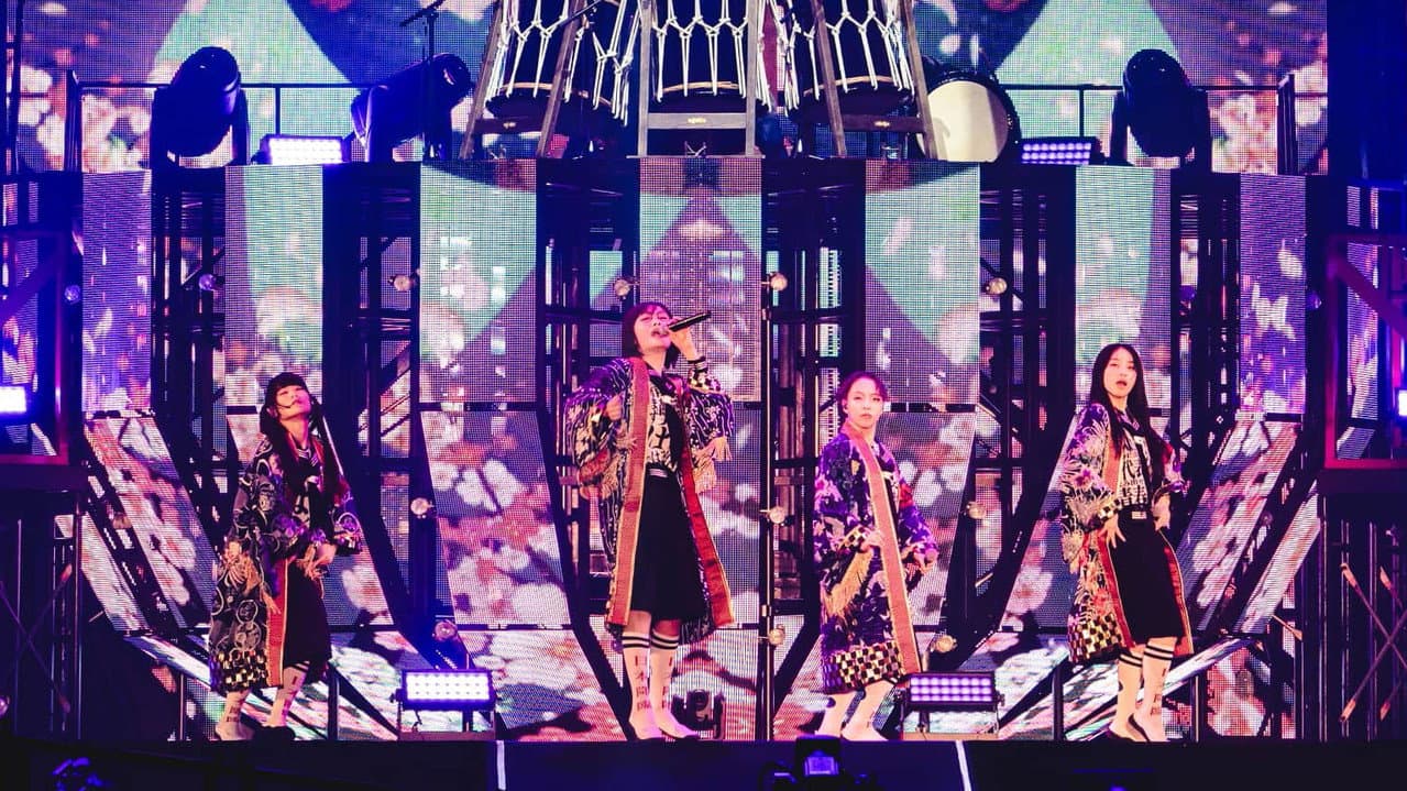 SEISHUN INOSHISHI 〈Go Wild〉 ATARASHII GAKKO! THE MOVIE