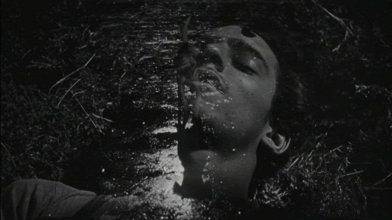 The Young and the Damned