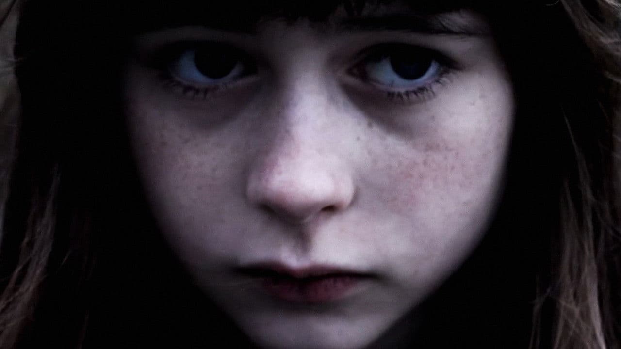 Pigeons Should Fly Freely In the Sky