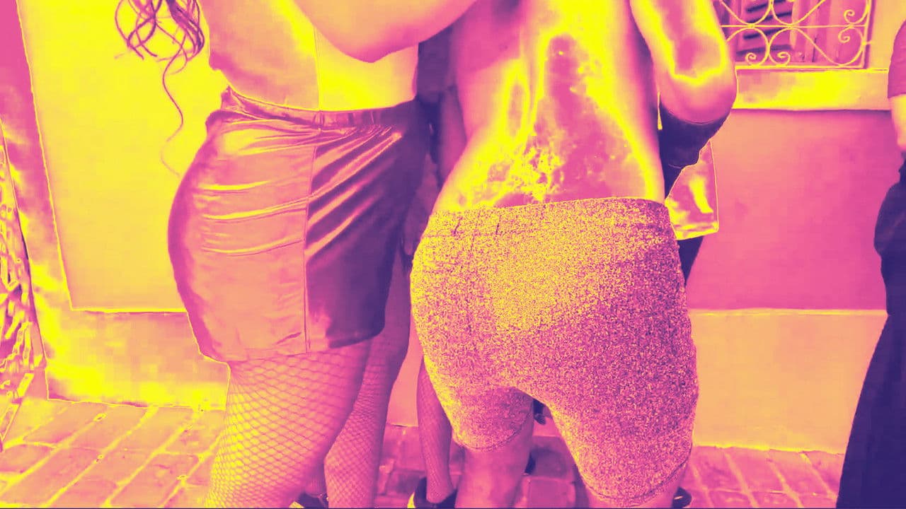 Cuceteiras VII: "Cucesniff?"