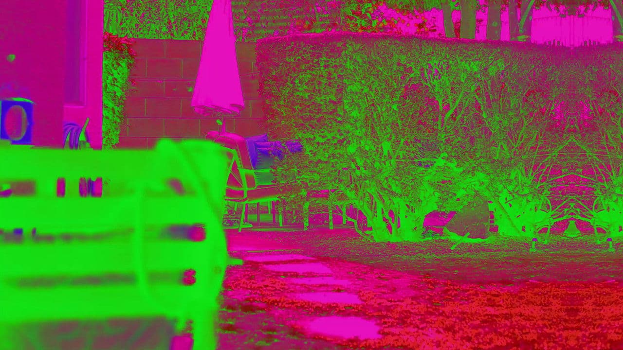 This Must Be My Face