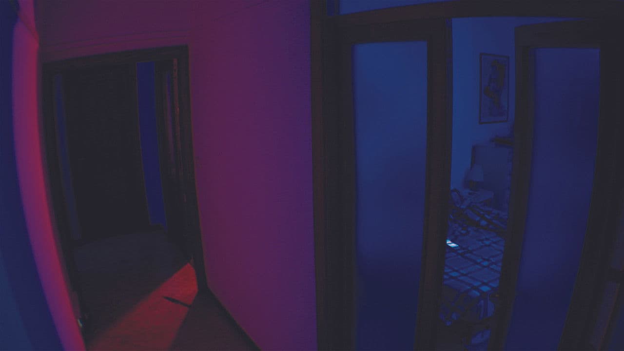 All'ordine della notte