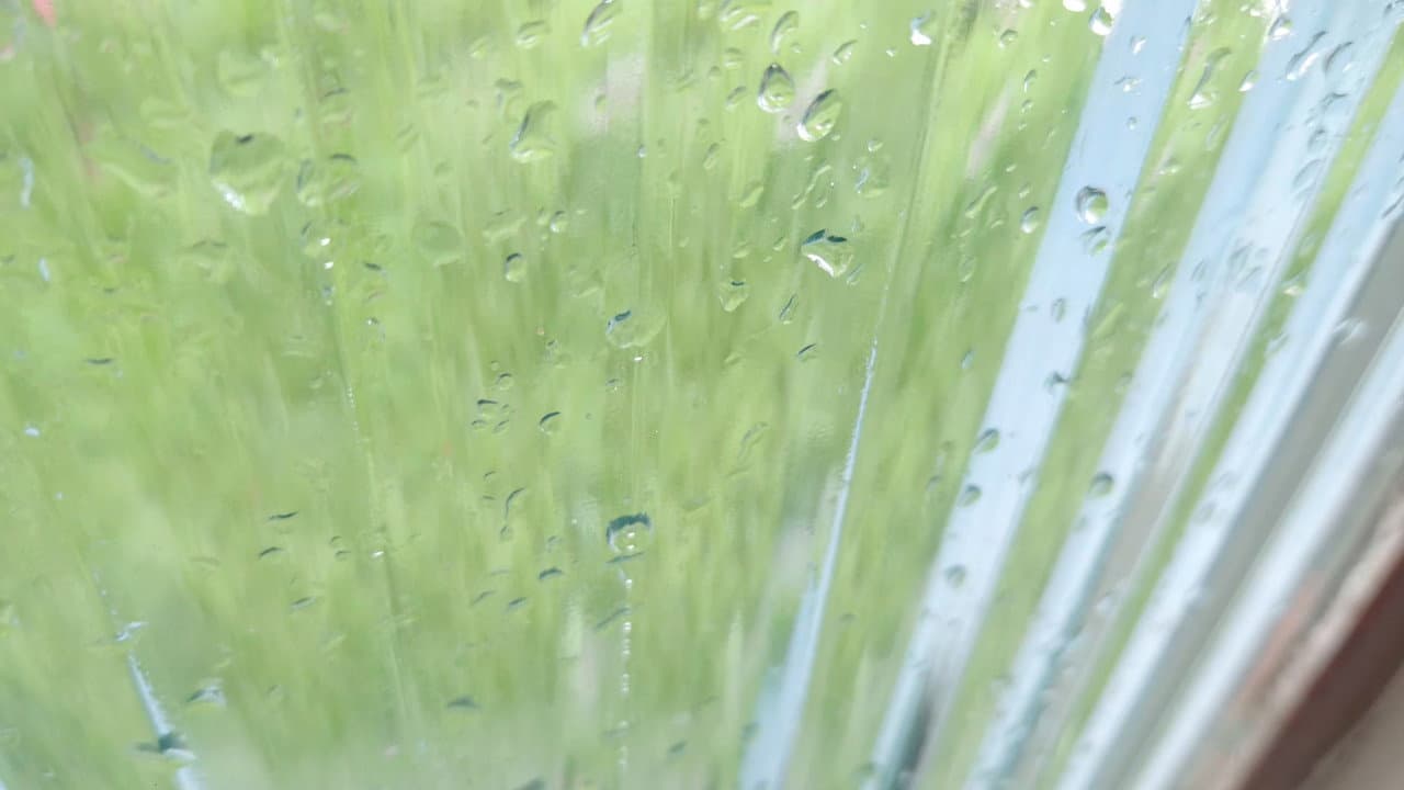 it rains on a saturday