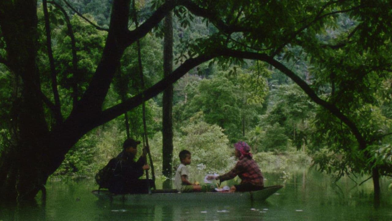 Hair, Paper, Water...