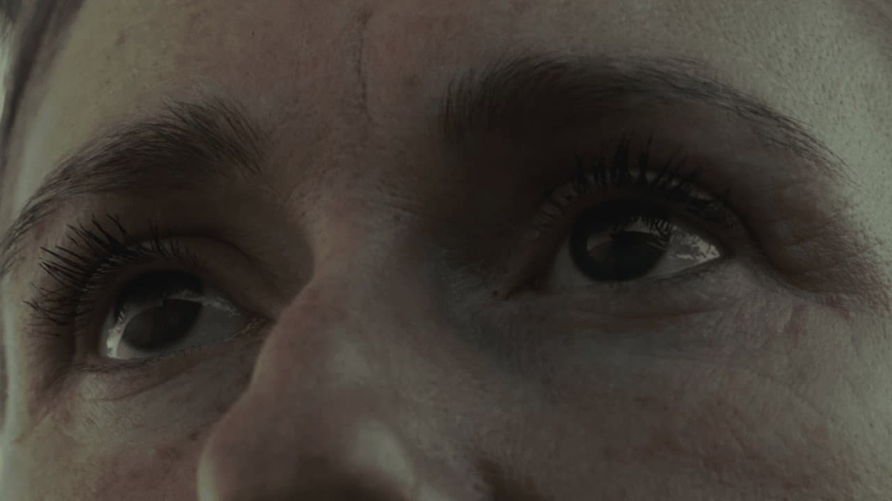 The Border at Tolstoi