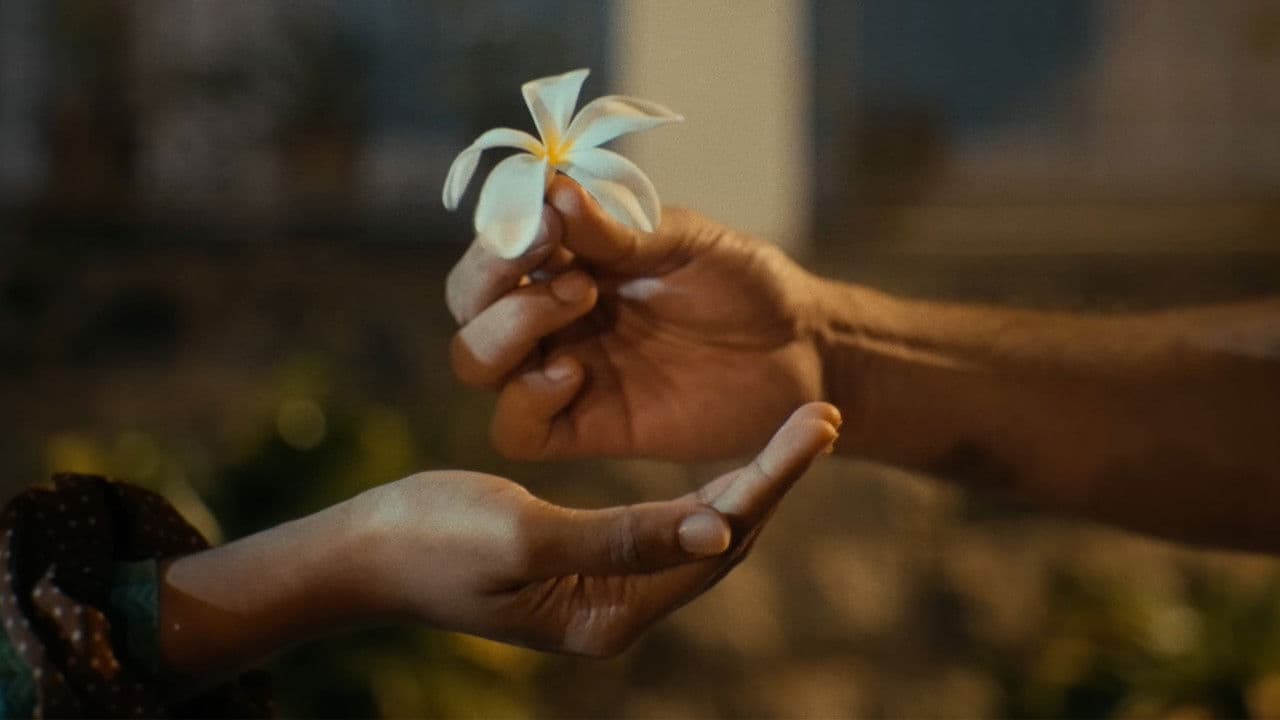 Frangipani: The Short Film