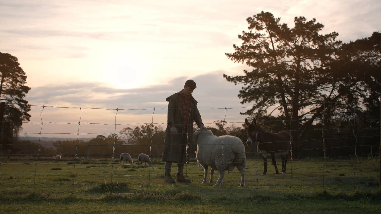 Just an Apartment Please