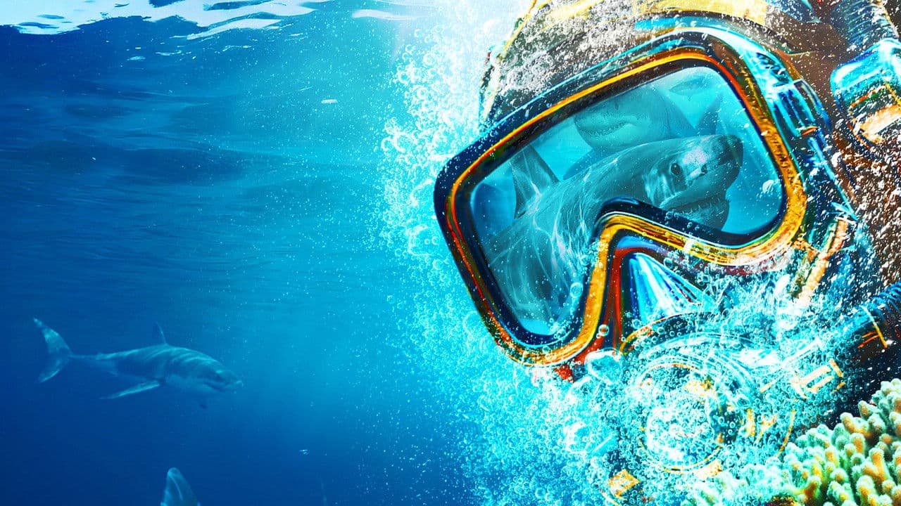 Sydney Harbor Shark Invasion