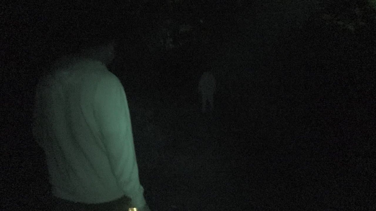 Terror Tales: Poetry & Death Volume 1