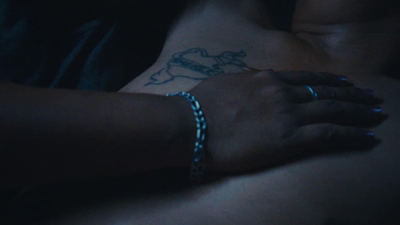 Someday the night will come