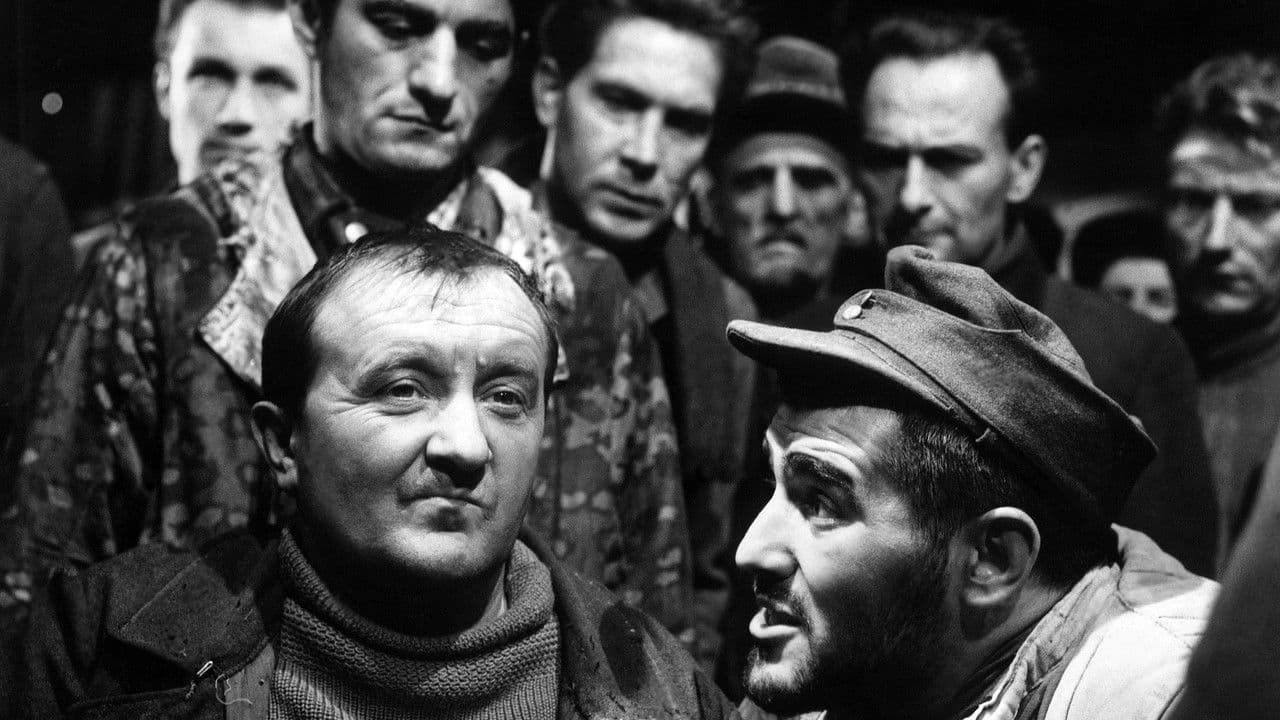 The Doctor of Stalingrad