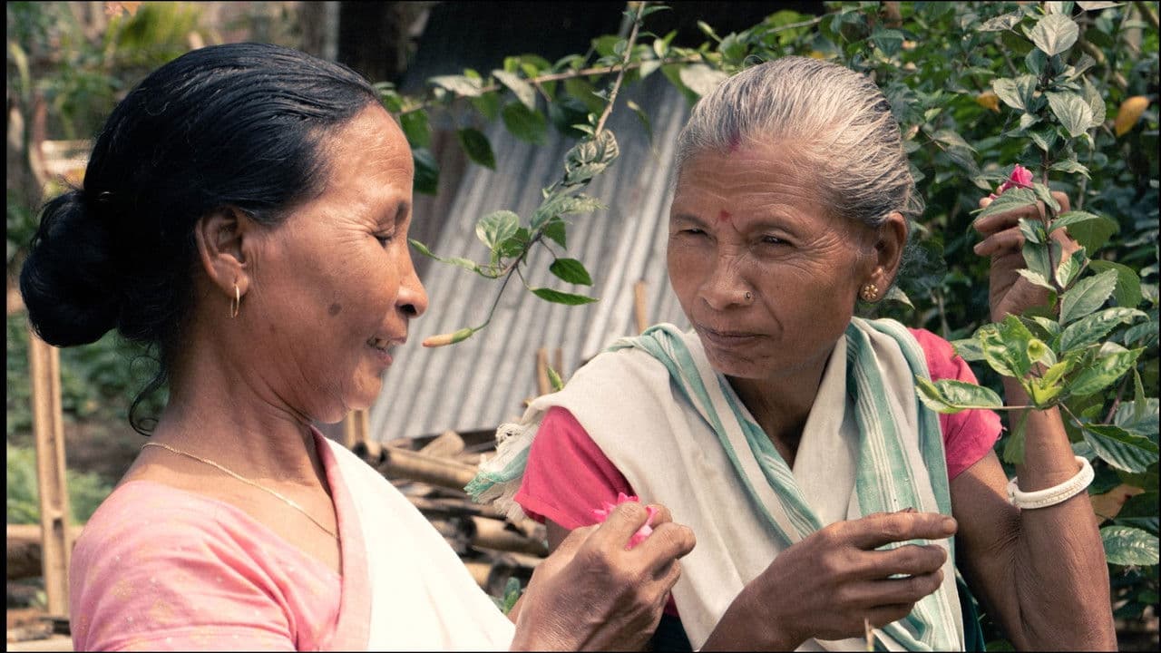 The Flow of Resilience