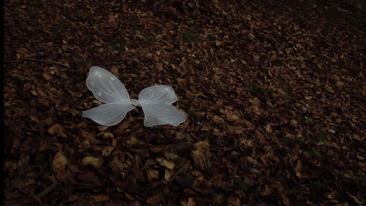 Quan ningú ens mira