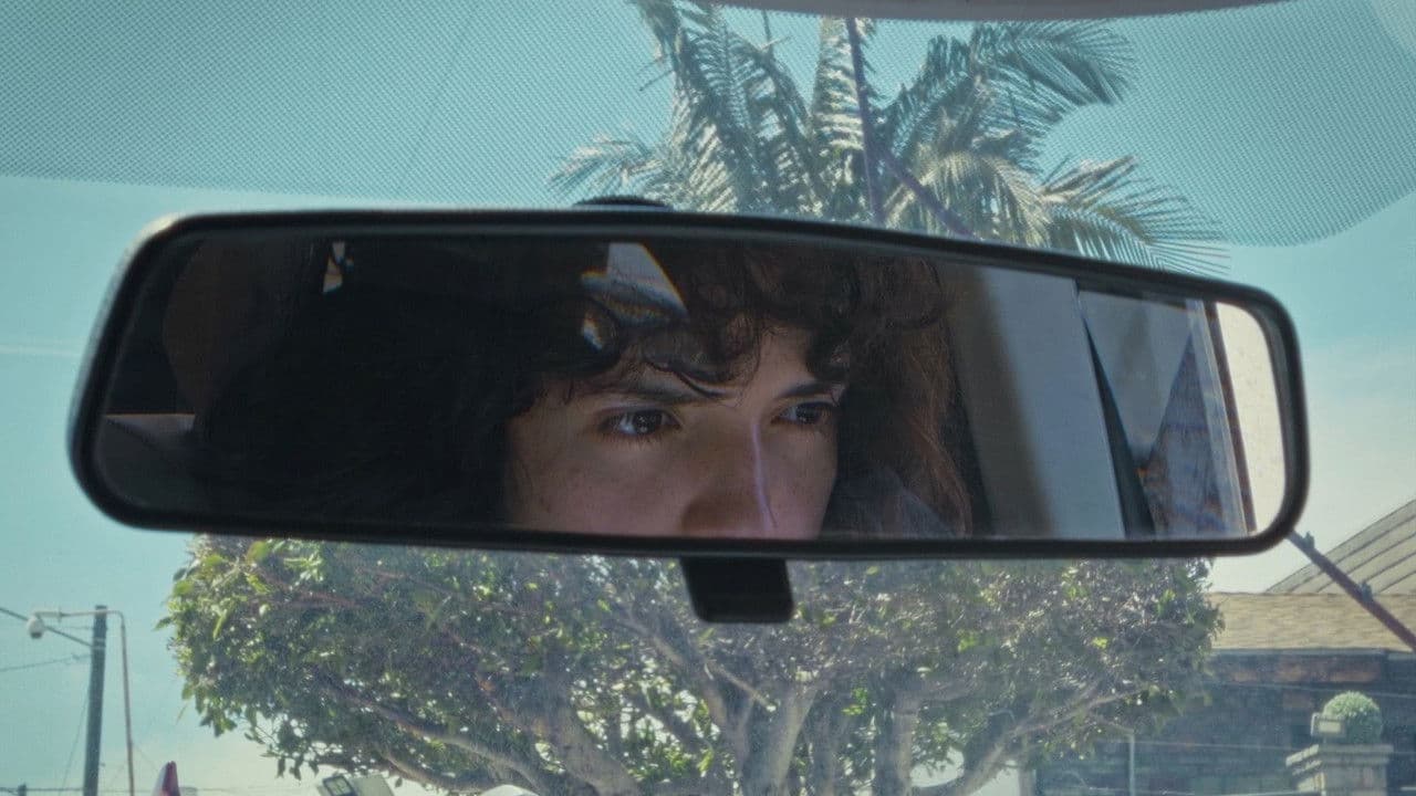 The Life of the Party