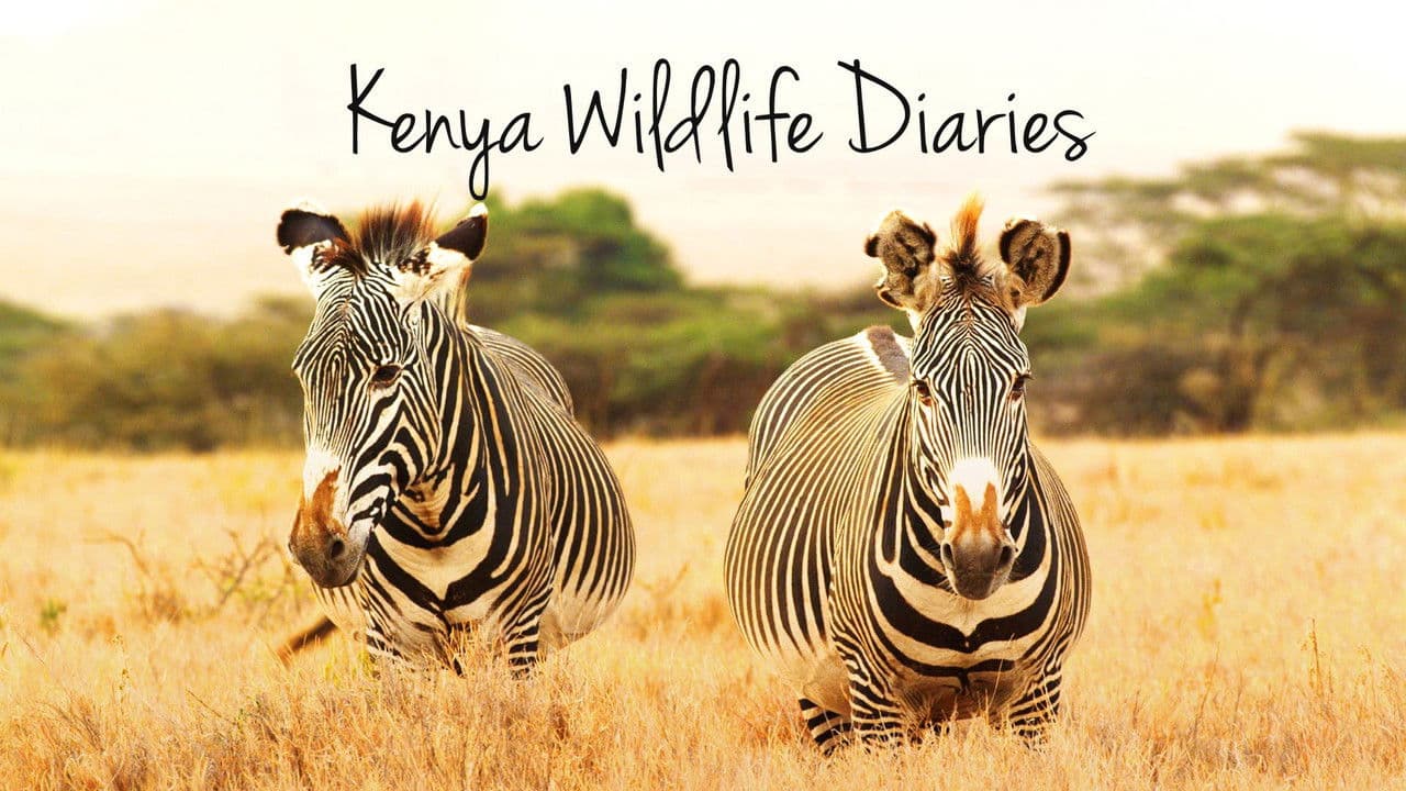Kenya Wildlife Diaries
