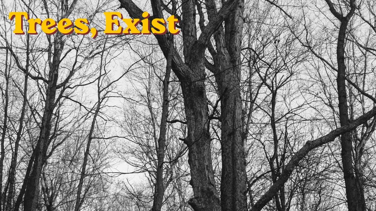 Trees, exist