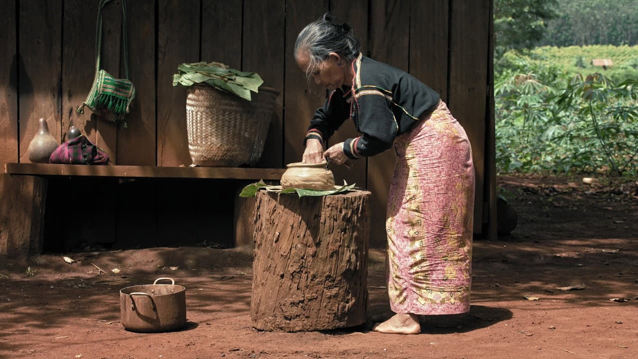 We Are the Fruits of the Forest