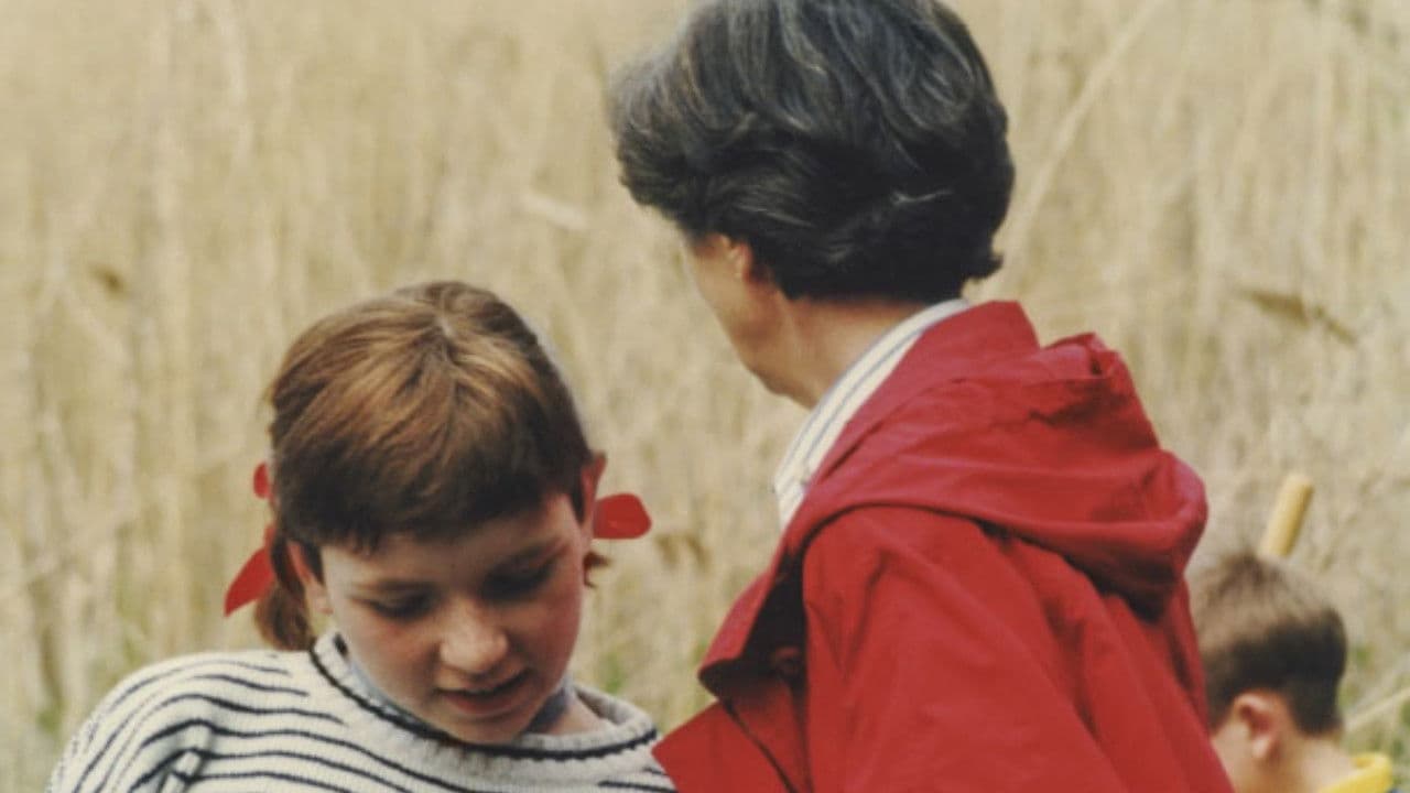 Blue Sky White Clouds