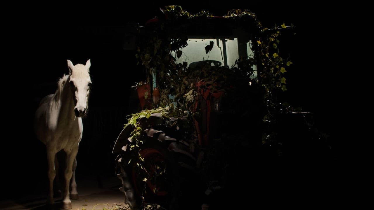 Un perro ladra detrás del depósito