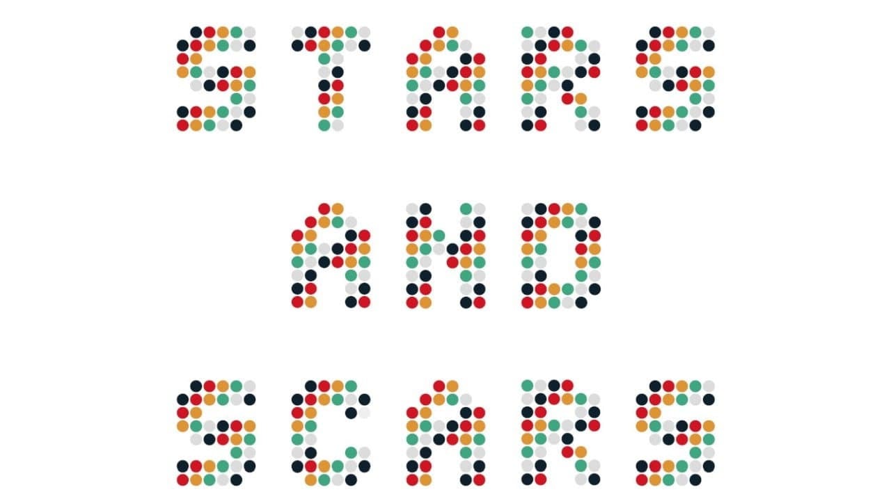 Stardust Future: Stars and Scars