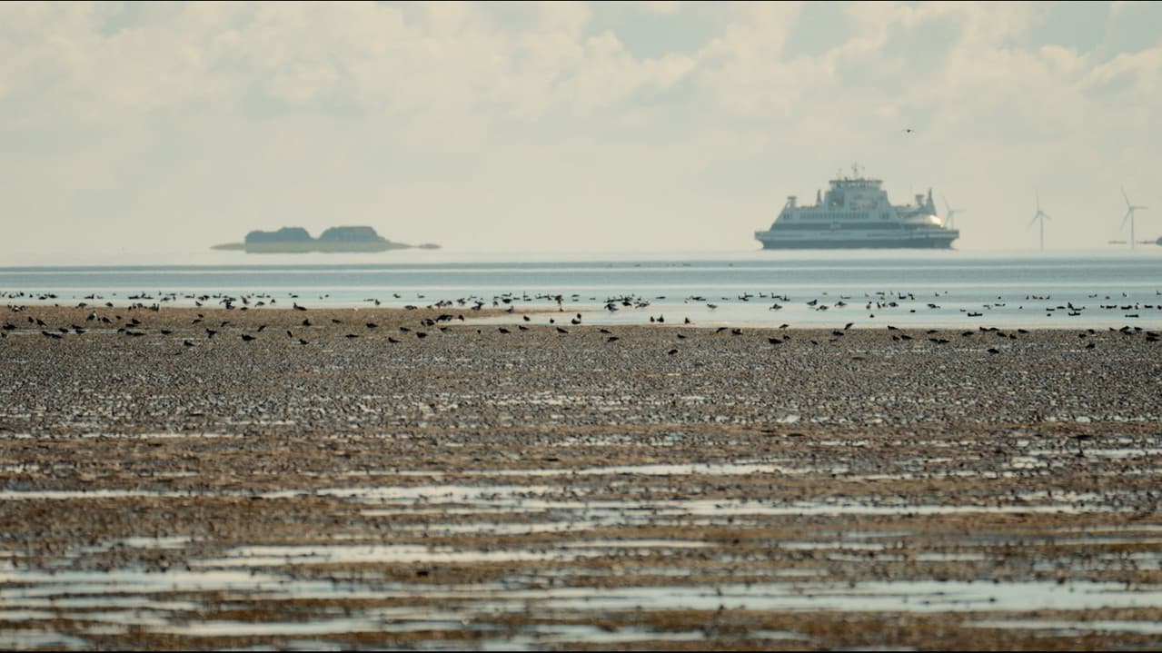 Föhr - 5 Meter über Null