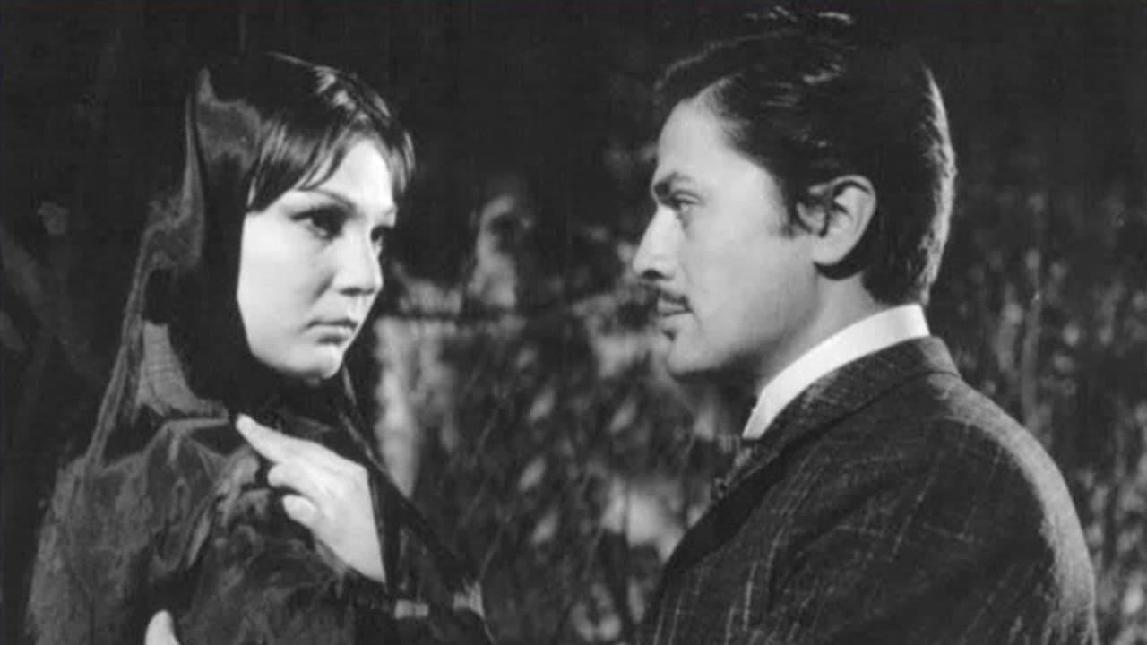 Four Women in the Harem