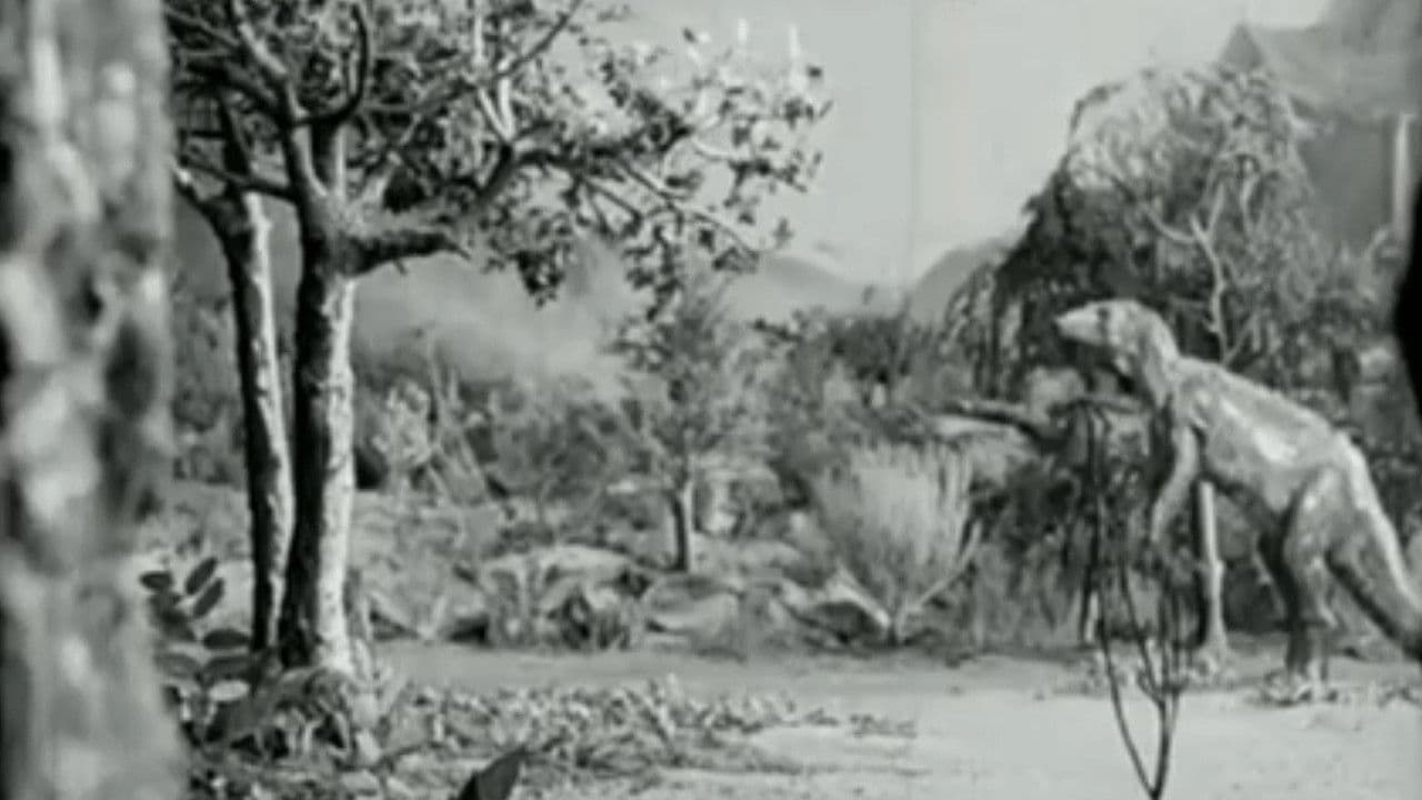 Along the Moonbeam Trail