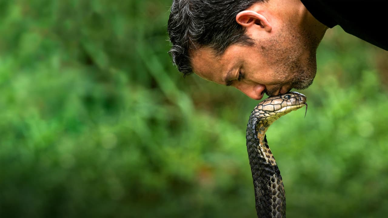 David Blaine Do Not Attempt