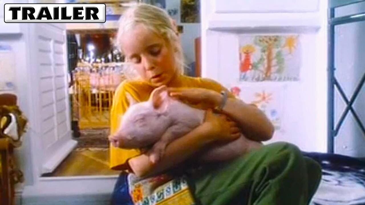 Rudy, the Racing Pig