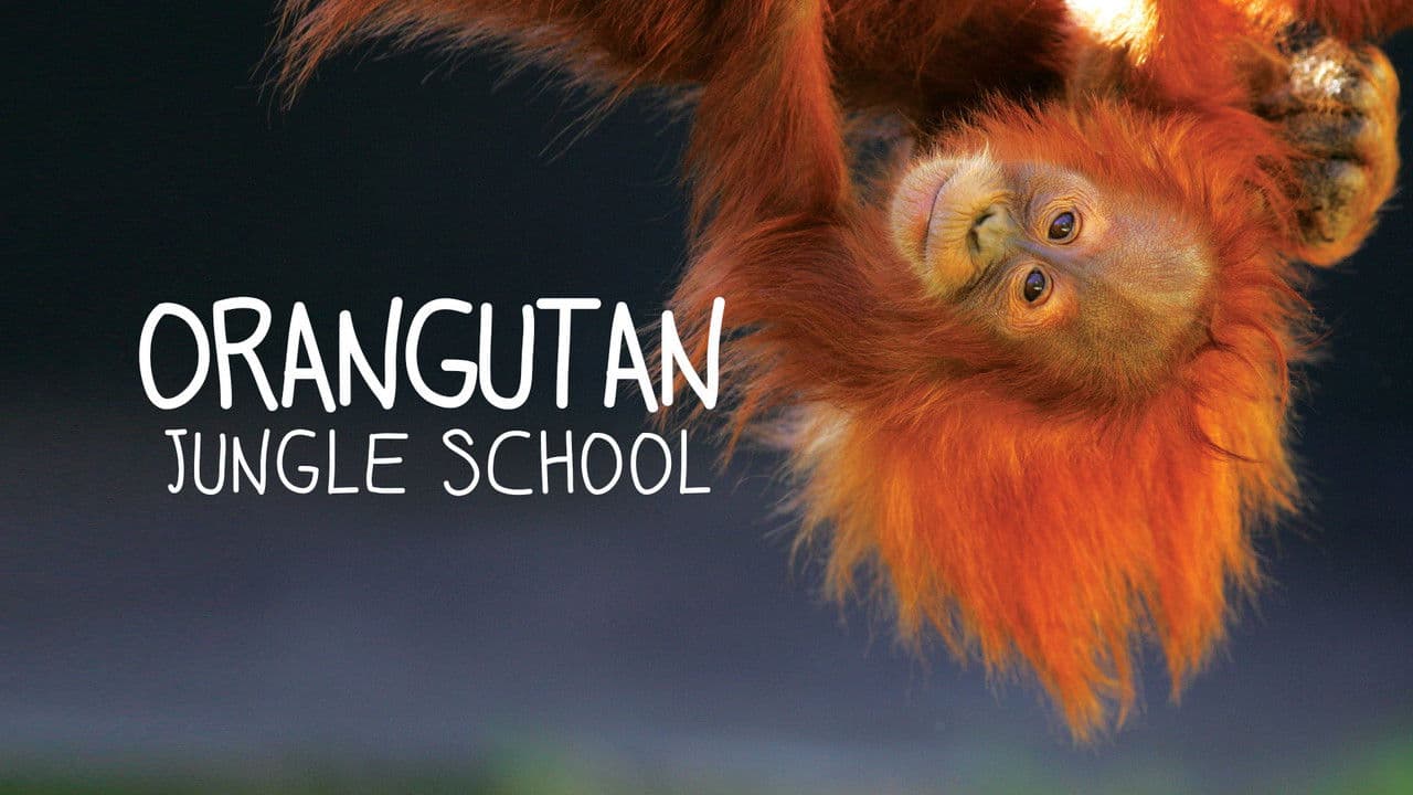 Orangutan Jungle School